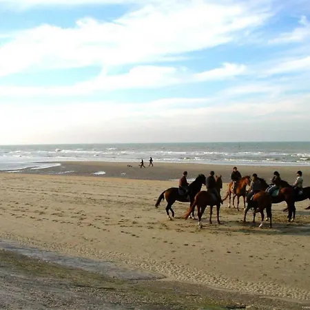 In Blankenberg With Sea Views Lejlighed