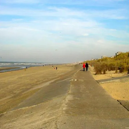 In Blankenberg With Sea Views Lejlighed *