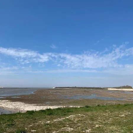 Appartement In Blankenberg With Sea Views