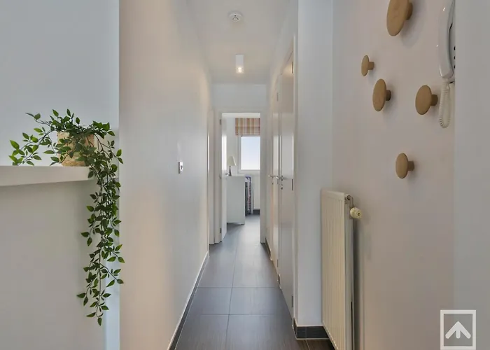 In Blankenberg With Sea Views Lejlighed *