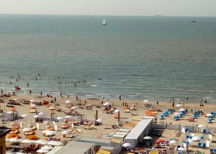 In Blankenberg With Sea Views