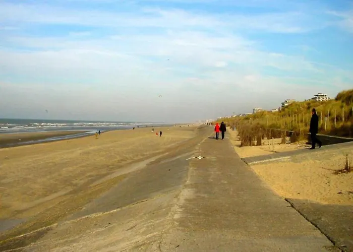 In Blankenberg With Sea Views Lejlighed *