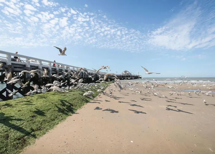 In Blankenberg With Sea Views *